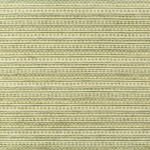 BRUNSCHWIG & FILS - ORELLE TEXTURE- GREEN - Fabric by the Yard GREEN