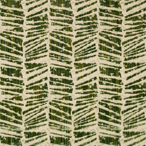 BRUNSCHWIG & FILS - CHAUMONT VELVET- LEAF - Fabric by the Yard LEAF
