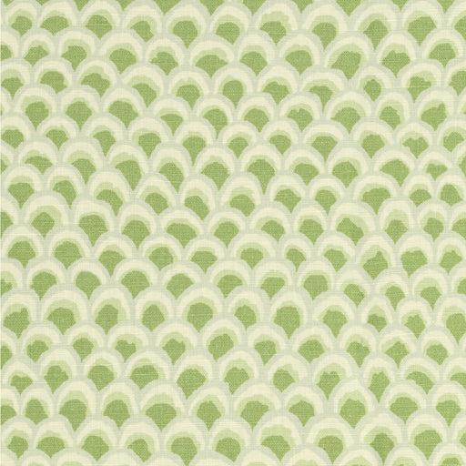 BRUNSCHWIG & FILS - PAVE II PRINT- KIWI - Fabric by the Yard KIWI