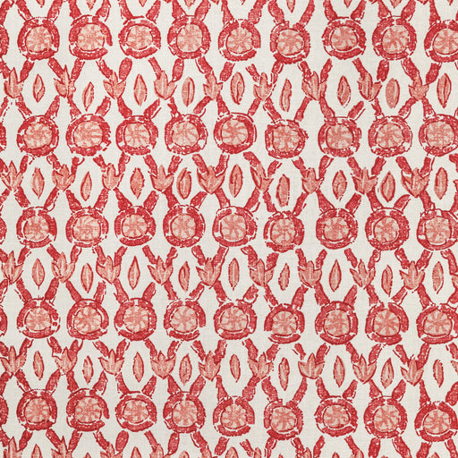 BRUNSCHWIG & FILS - GALON PRINT- CORAL - Fabric by the Yard CORAL