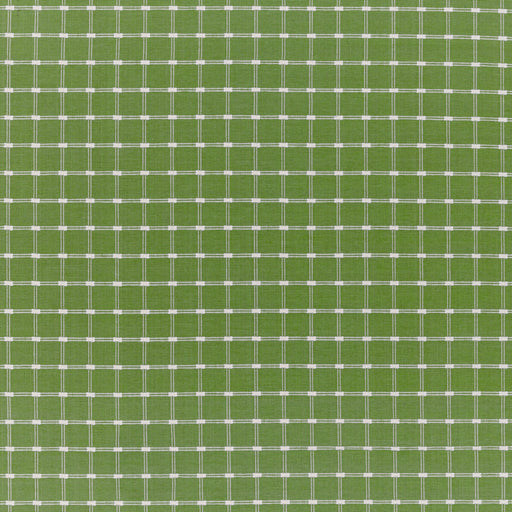 BRUNSCHWIG & FILS - LISON CHECK- GREEN - Fabric by the Yard GREEN