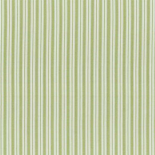 BRUNSCHWIG & FILS - SELUNE STRIPE- LEAF - Fabric by the Yard LEAF
