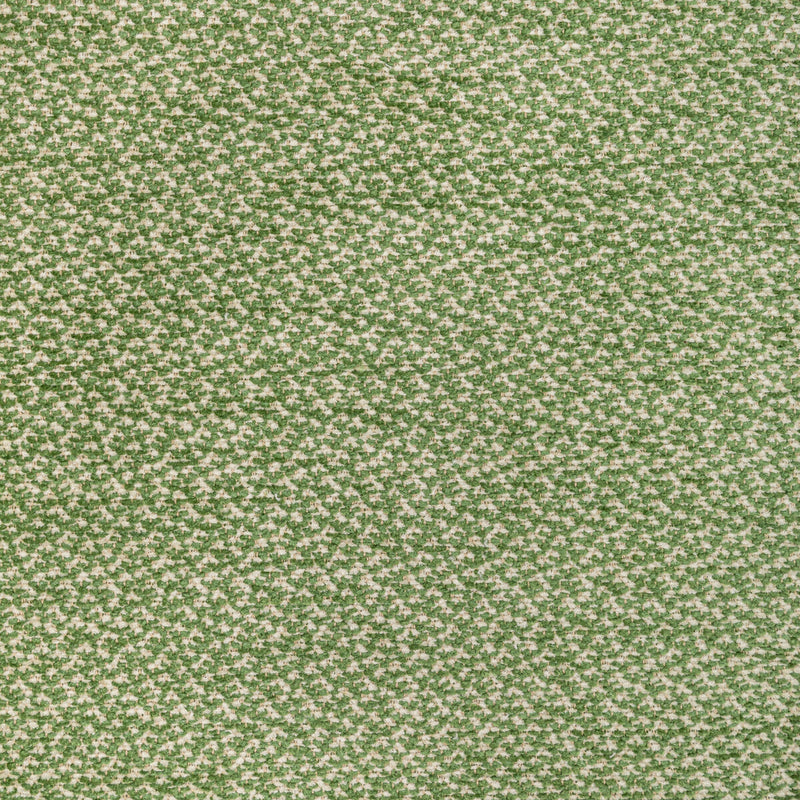BRUNSCHWIG & FILS - SASSON TEXTURE- GREEN - Fabric by the Yard GREEN