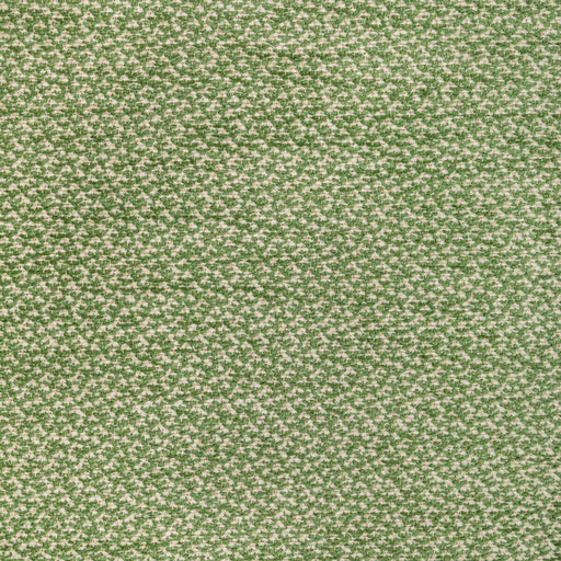 BRUNSCHWIG & FILS - SASSON TEXTURE- GREEN - Fabric by the Yard GREEN