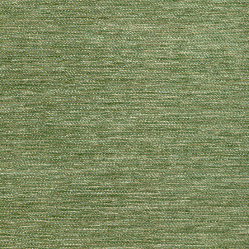 BRUNSCHWIG & FILS - COGNIN TEXTURE- GREEN - Fabric by the Yard GREEN