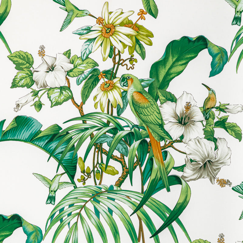 BRUNSCHWIG & FILS - ANIMA PRINT- LEAF - Fabric by the Yard LEAF