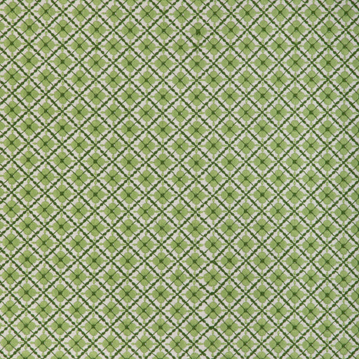BRUNSCHWIG & FILS - INES EMB- LEAF - Fabric by the Yard LEAF