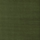 BRUNSCHWIG & FILS - RHONE WEAVE- LEAF - Fabric by the Yard
