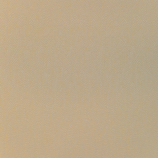 BRUNSCHWIG & FILS - PIPET TEXTURE- WHEAT - Fabric by the Yard WHEAT