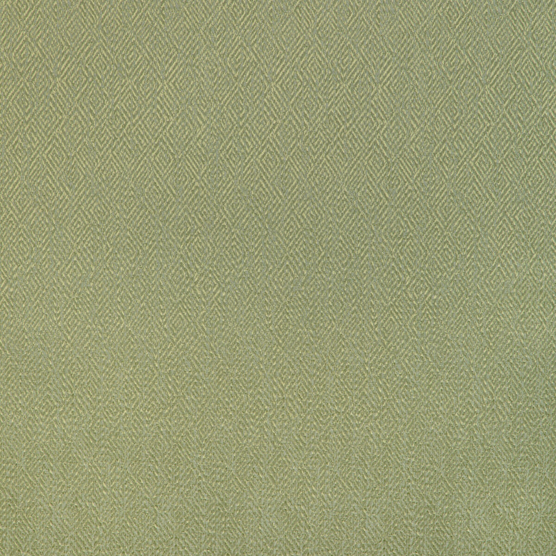 BRUNSCHWIG & FILS - PIPET TEXTURE- LEAF - Fabric by the Yard LEAF