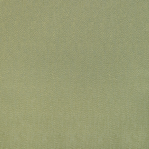 BRUNSCHWIG & FILS - PIPET TEXTURE- LEAF - Fabric by the Yard LEAF