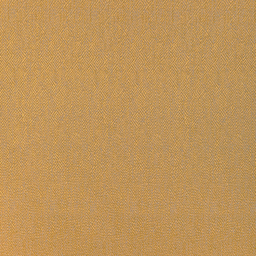 BRUNSCHWIG & FILS - PIPET TEXTURE- CANARY - Fabric by the Yard CANARY