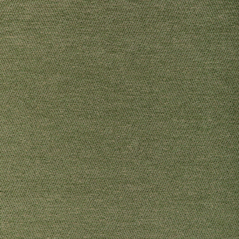 BRUNSCHWIG & FILS - BEAUVOIR TEXTURE- LEAF - Fabric by the Yard LEAF