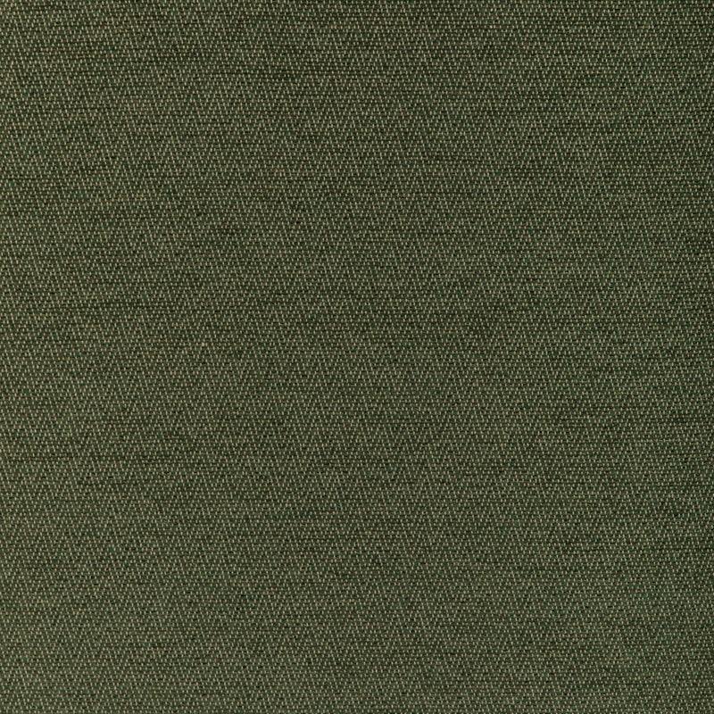 BRUNSCHWIG & FILS - BEAUVOIR TEXTURE- GREEN - Fabric by the Yard GREEN