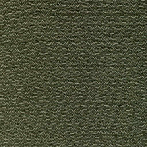BRUNSCHWIG & FILS - BEAUVOIR TEXTURE- GREEN - Fabric by the Yard GREEN