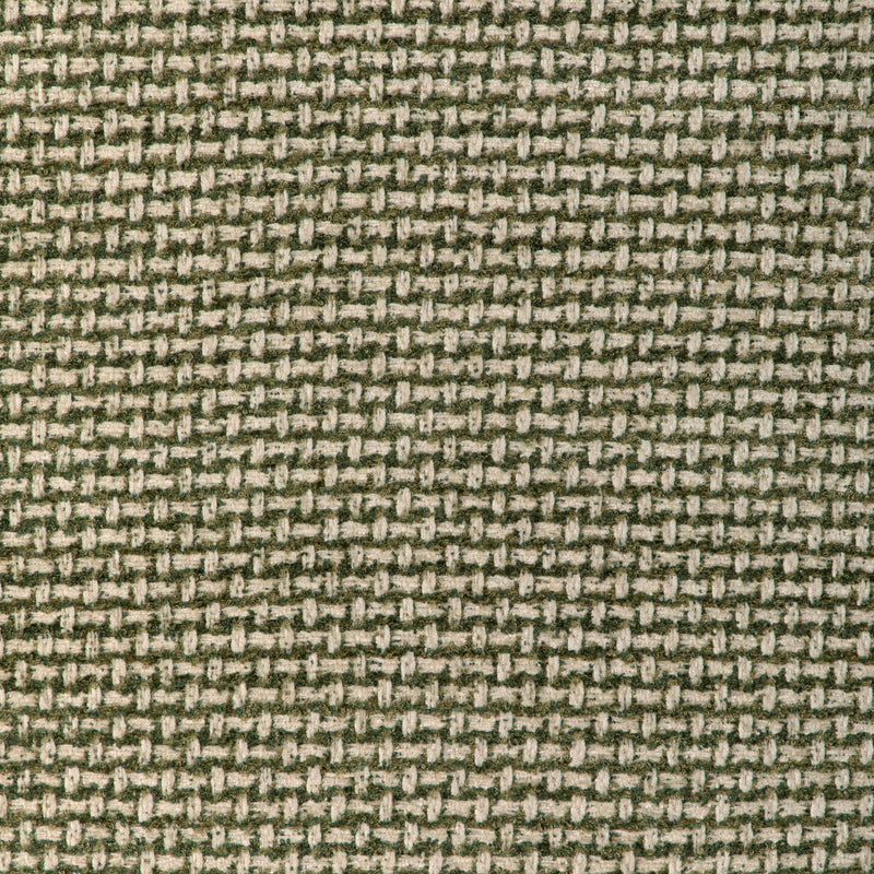 BRUNSCHWIG & FILS - NIVOLET TEXTURE- GREEN - Fabric by the Yard GREEN