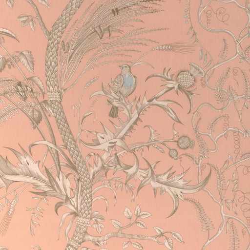 BRUNSCHWIG & FILS - BIRD AND THISTLE II- PEACH - Fabric by the Yard PEACH