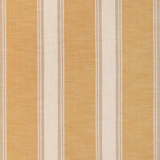 BRUNSCHWIG & FILS - LA RIVIERA STRIPE- OCHRE - Fabric by the Yard OCHRE