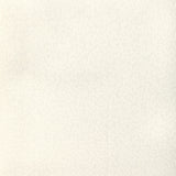 BRUNSCHWIG & FILS - BRAMBLE EMB- IVORY - Fabric by the Yard