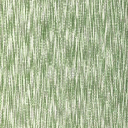 BRUNSCHWIG & FILS - BRETENTOT STRIE- GREEN - Fabric by the Yard GREEN