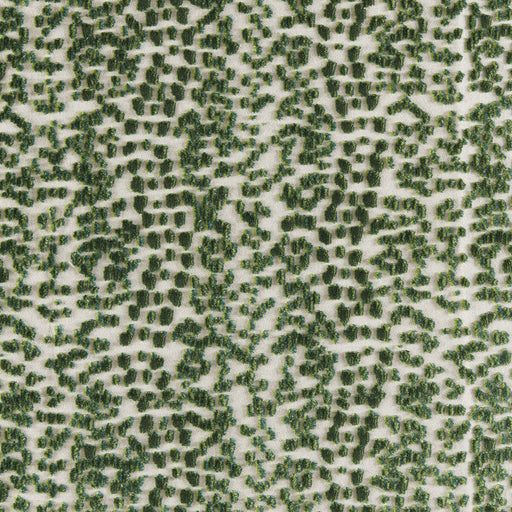 BRUNSCHWIG & FILS - LES TOUCHES VELVET- GREEN - Fabric by the Yard GREEN