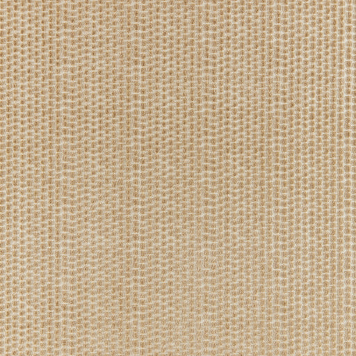 BRUNSCHWIG & FILS - TEMPLON VELVET- SAND - Fabric by the Yard SAND