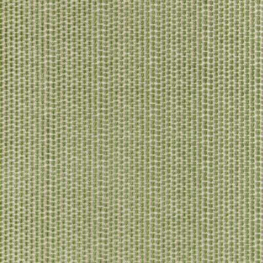 BRUNSCHWIG & FILS - TEMPLON VELVET- SAGE - Fabric by the Yard SAGE