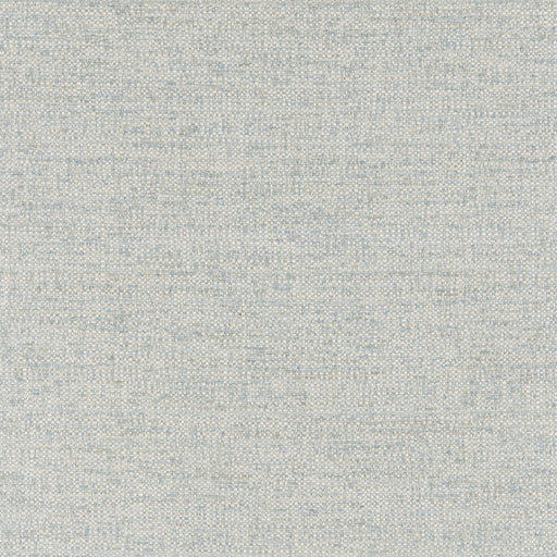 BRUNSCHWIG & FILS - GARNIER TEXTURE- MIST - Fabric by the Yard MIST