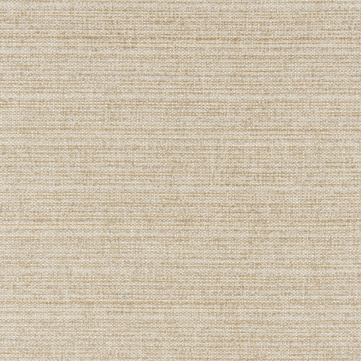 BRUNSCHWIG & FILS - GARNIER TEXTURE- BEIGE - Fabric by the Yard BEIGE
