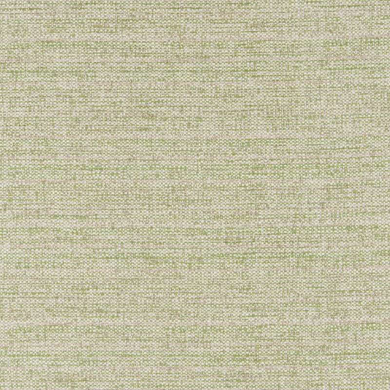 BRUNSCHWIG & FILS - GARNIER TEXTURE- LEAF - Fabric by the Yard LEAF