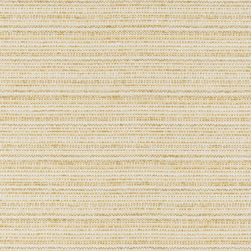 BRUNSCHWIG & FILS - GARNIER TEXTURE- SOLEIL - Fabric by the Yard SOLEIL