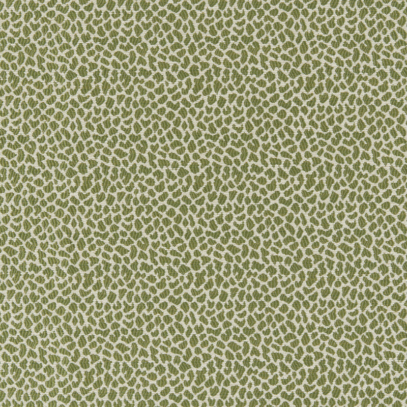 BRUNSCHWIG & FILS - LAFAYETTE WEAVE - LEAF - Fabric By The YARD