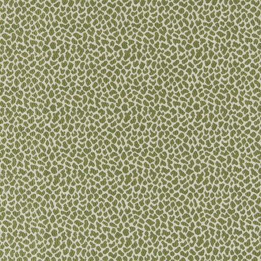 BRUNSCHWIG & FILS - LAFAYETTE WEAVE - LEAF - Fabric By The YARD