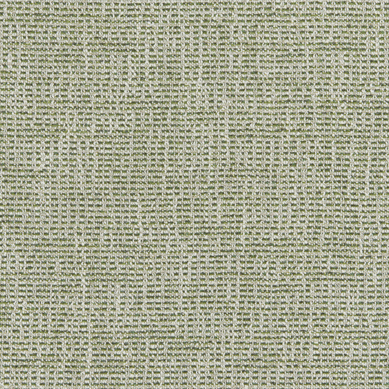 BRUNSCHWIG & FILS - BRIOUDE TEXTURE - GREEN - Fabric By The YARD