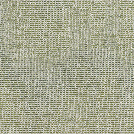 BRUNSCHWIG & FILS - BRIOUDE TEXTURE - GREEN - Fabric By The YARD