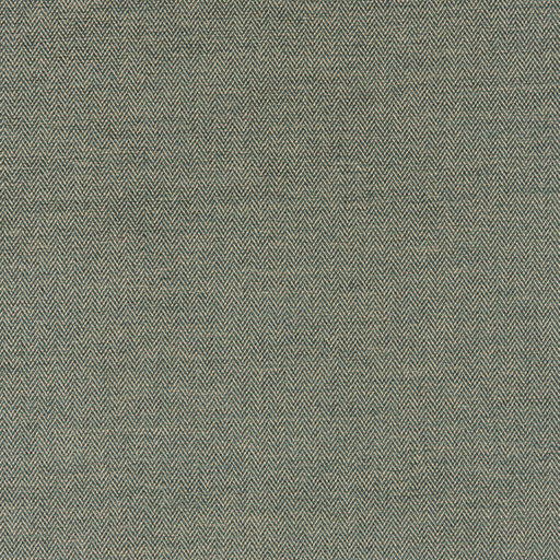 BRUNSCHWIG & FILS - CHALAIS TEXTURE - GREEN - Fabric By The YARD