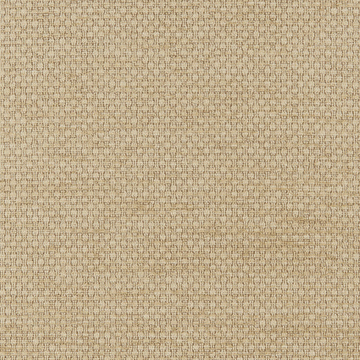 BRUNSCHWIG & FILS - MONNERIE TEXTURE - BEIGE - Fabric By The YARD