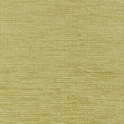 BRUNSCHWIG & FILS - MONNERIE TEXTURE - LEAF - Fabric By The YARD