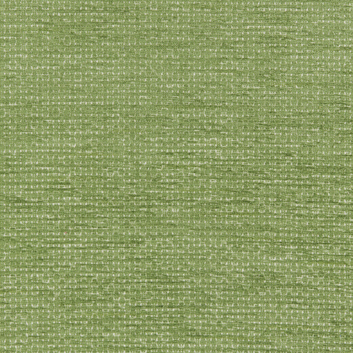 BRUNSCHWIG & FILS - MONNERIE TEXTURE - GREEN - Fabric By The YARD
