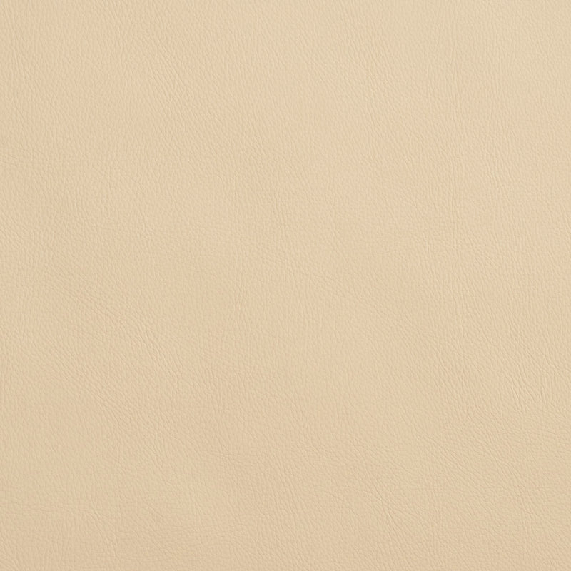 Charlotte - 8065 - Ivory - Fabric by the Yard Ivory