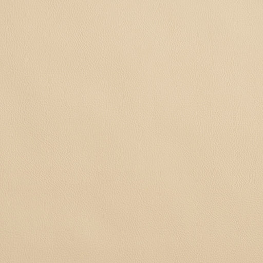 Charlotte - 8065 - Ivory - Fabric by the Yard Ivory