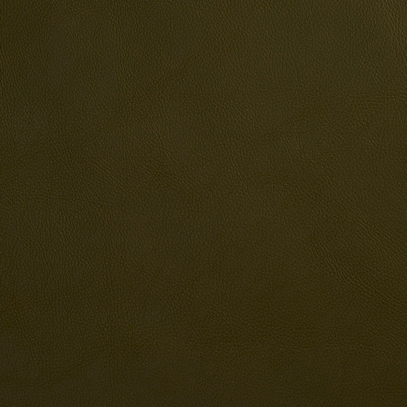 Charlotte - 8068 - Hunter - Fabric by the Yard Hunter