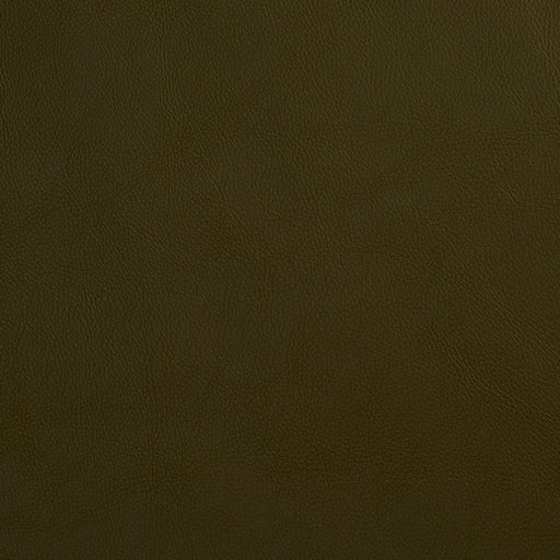 Charlotte - 8068 - Hunter - Fabric by the Yard Hunter
