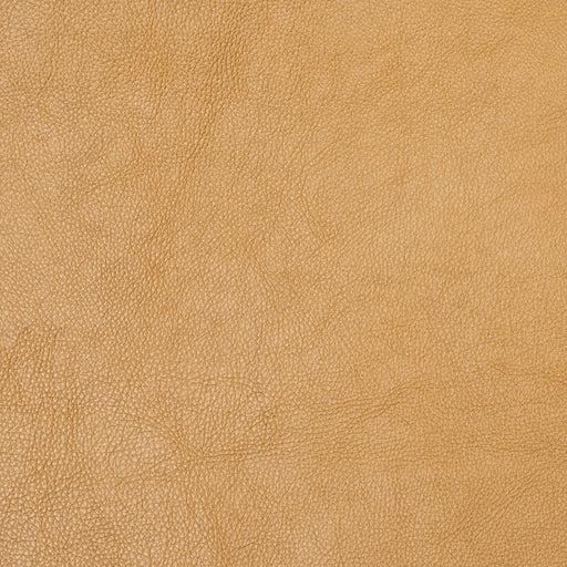 Charlotte - 8069 - Gold - Fabric by the Yard Gold
