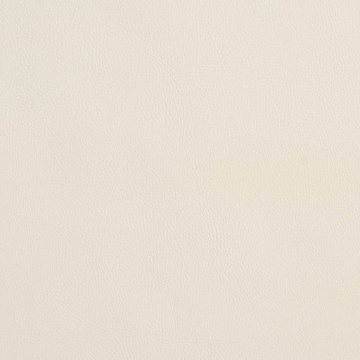 Charlotte - 8070 - Natural - Fabric by the Yard Natural