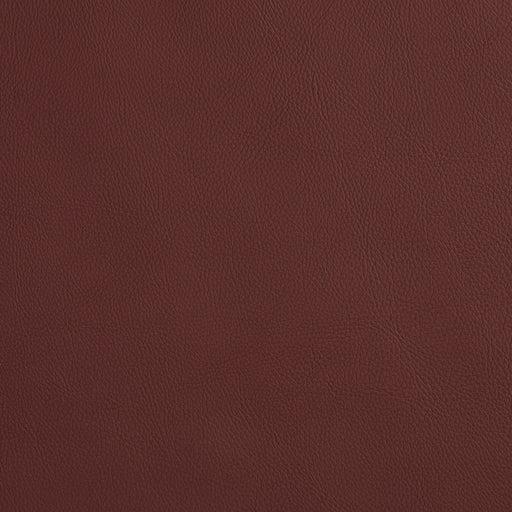 Charlotte - 8073 - Merlot - Fabric by the Yard Merlot