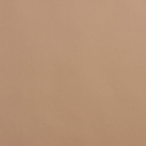 Charlotte - 8075 - Sandstone - Fabric by the Yard Sandstone