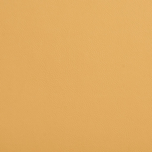Charlotte - 8077 - Desert - Fabric by the Yard Desert