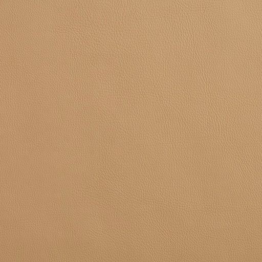 Charlotte - 8079 - Sandalwood - Fabric by the Yard Sandalwood