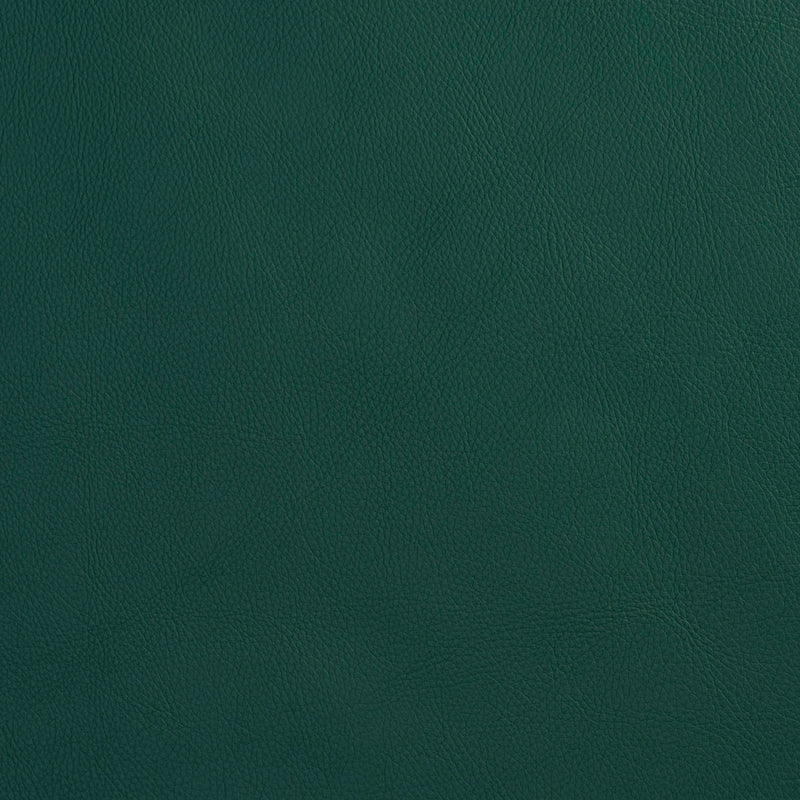 Charlotte - 8080 - Spruce - Fabric by the Yard Spruce